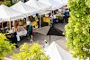 DSC_5910_edited-2.jpg