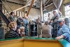 DSC_5476_edited-2.jpg