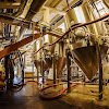 DSC_6239_edited-1.jpg