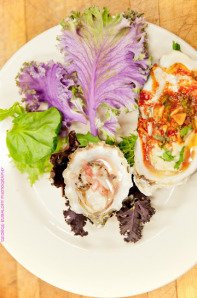 oyster course