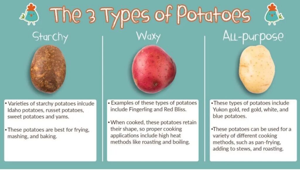 The Right Potato