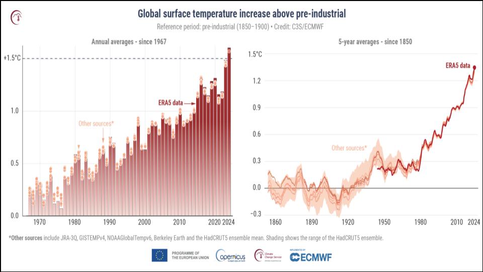 Global summer temperatures from 2015 to 2025