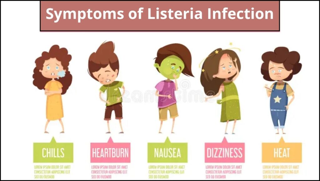Symptoms for Listeria Infection