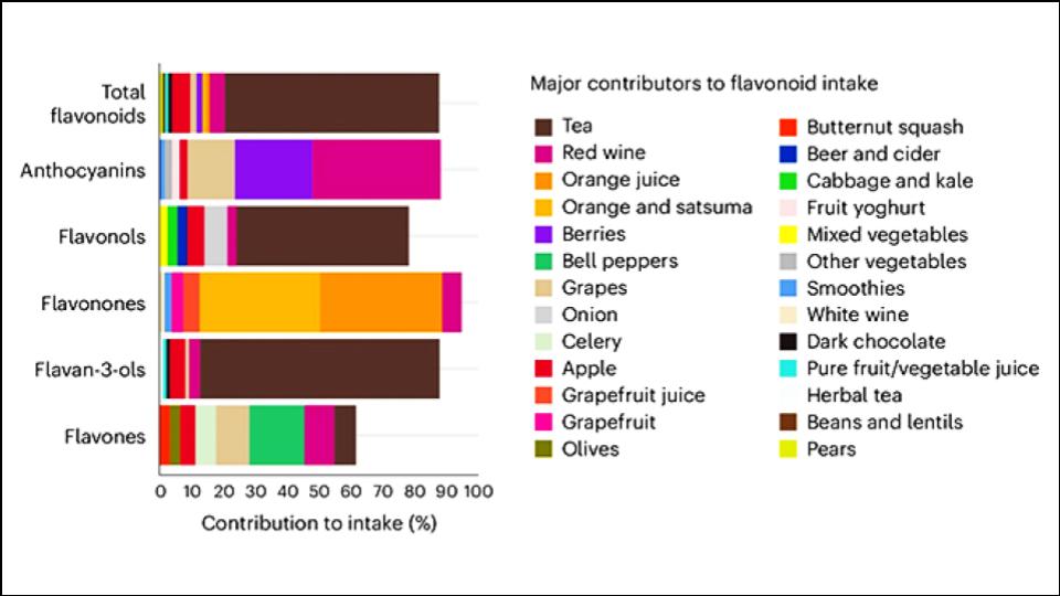 Top Flavonoid-Rich Foods for Brain Health