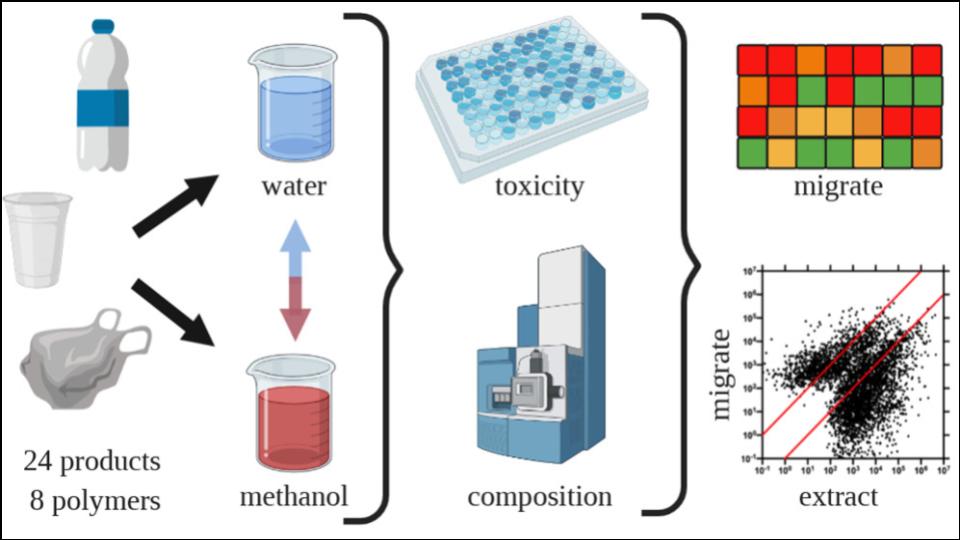 chemical leaches from the Mainstay water bottle into the water