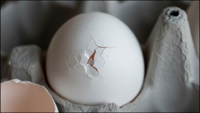 Cracked Egg