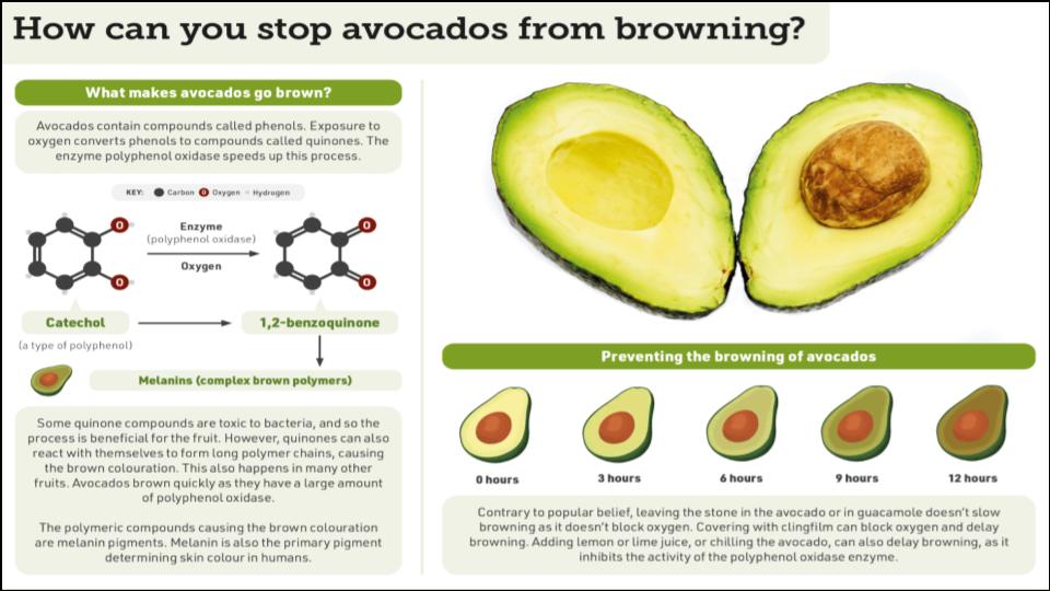 enzyme polyphenol oxidase (PPO) in avocados