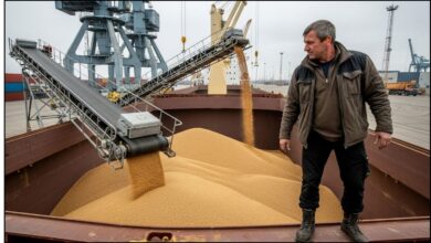 Global Food Security