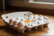 Egg Recall