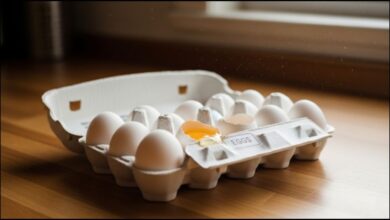 Egg Recall
