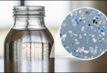 Microplastic in Glass Bottled