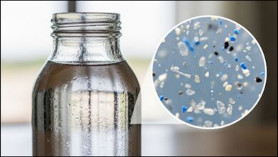 Microplastic in Glass Bottled