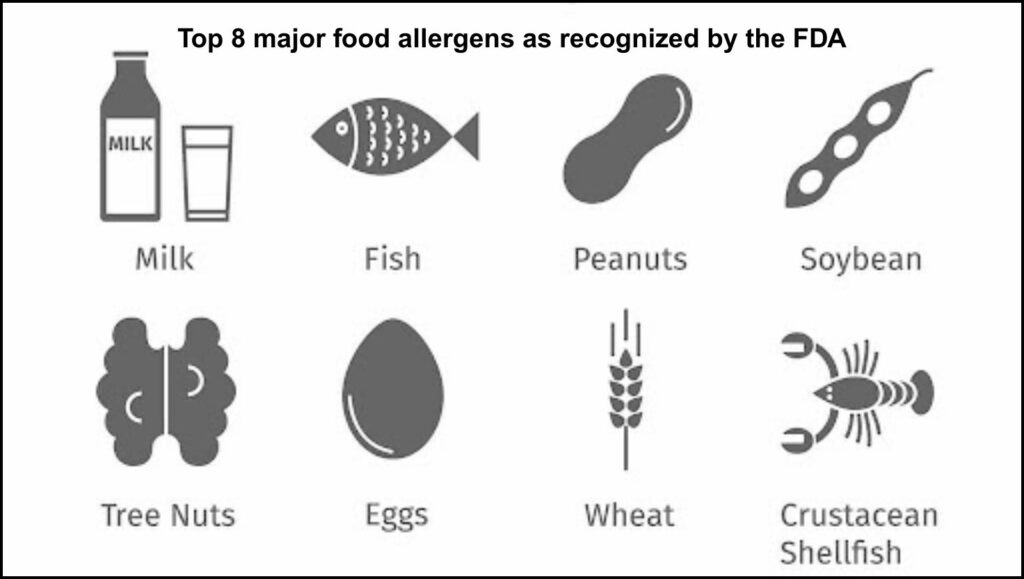 top 8 major food allergens