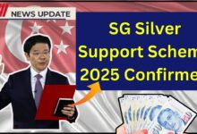 SG Silver Support Scheme 2025 Confirmed