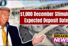 $1,000 December Stimulus