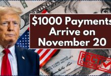 $1000 Payments Arrive on November 20