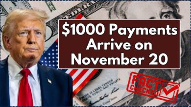$1000 Payments Arrive on November 20