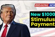$1000 Stimulus Check