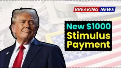 $1000 Stimulus Check