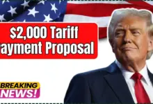 $2,000 Tariff Payment Proposal