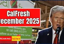 CalFresh December 2025