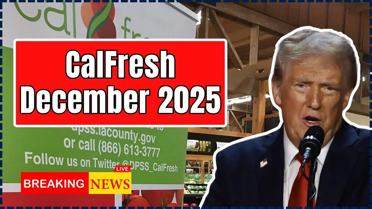 CalFresh December 2025