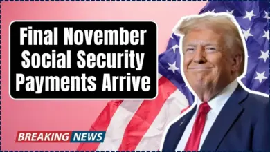 Final November Social Security Payments