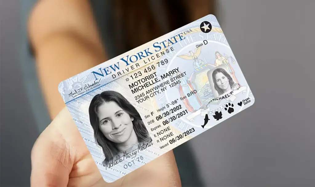 NY Driver’s Licenses 2025