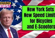 New York Sets New Speed Limits