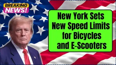 New York Sets New Speed Limits