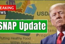SNAP Update