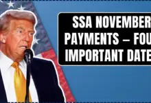 SSA November Payments 2025