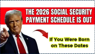 The 2026 Social Security Payment Schedule