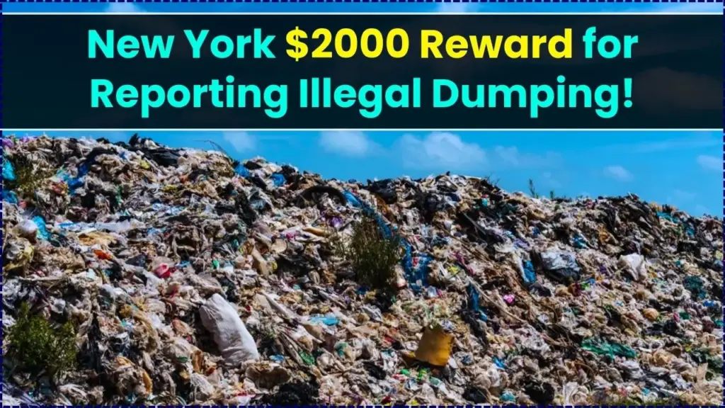 NYC Launches $2000 Reward Program