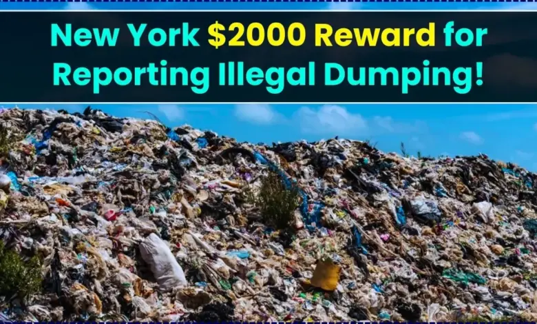 NYC Launches $2000 Reward Program