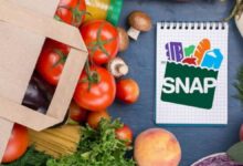 Major SNAP Change Ahead: 18 States Move to Ban Junk Food Purchases in 2026