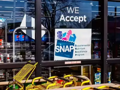 New York SNAP Support