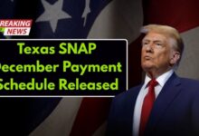 Texas SNAP Update