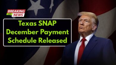 Texas SNAP Update