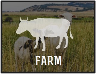 One Mile Farm